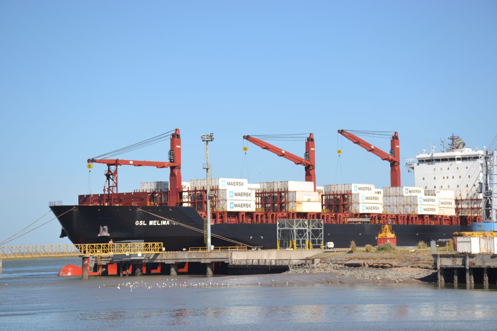 contenedores bahia blanca puerto